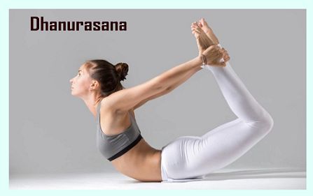 gain weight in 15 days from Dhanuainrasana