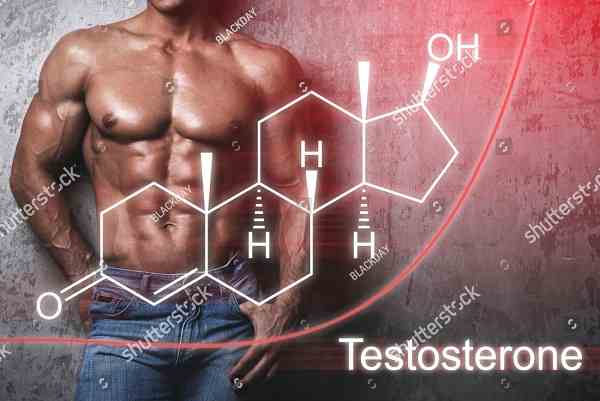 Why Testosterone Booster Useful For Muscle Gain Biggrow